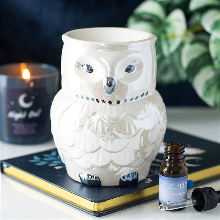 IRIDESCENT OWL OIL BURNER