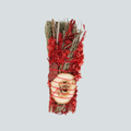 ROSEMARY + WHITE SAGE + RED JASPER RITUAL BUNDLE