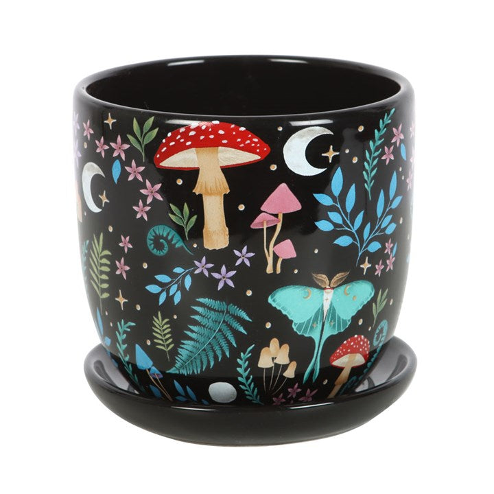 MYSTICAL FOREST PLANT POT + SAUCER