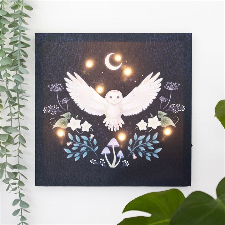 NIGHT OWL LIGHT-UP WALL CANVAS