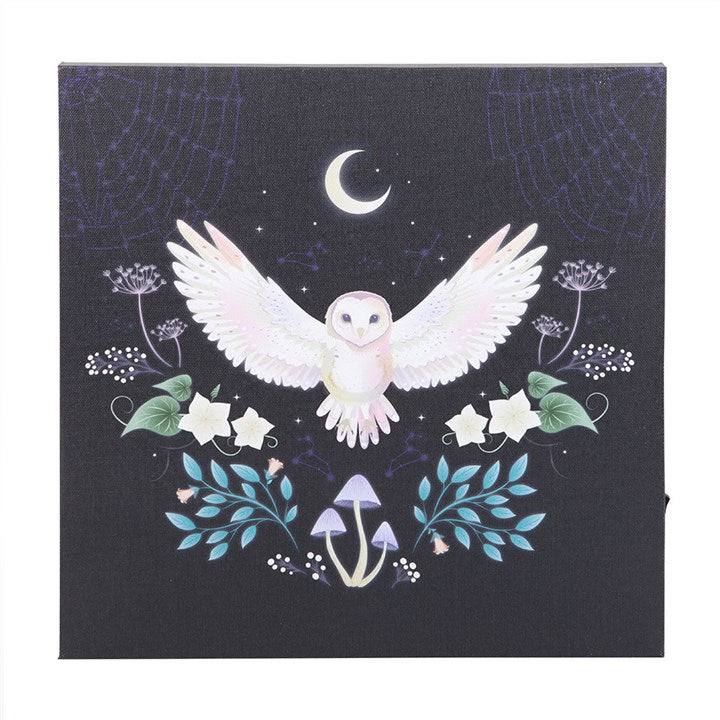 NIGHT OWL LIGHT-UP WALL CANVAS
