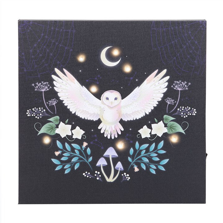 NIGHT OWL LIGHT-UP WALL CANVAS
