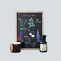 POISONOUS PLANTS FRAMED PRINT