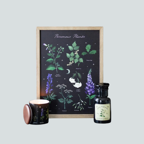 POISONOUS PLANTS FRAMED PRINT