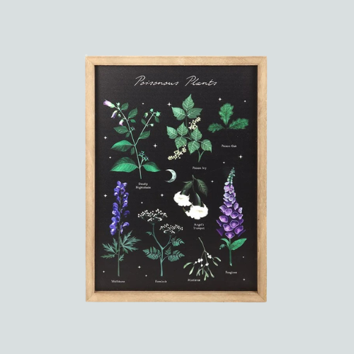 POISONOUS PLANTS FRAMED PRINT