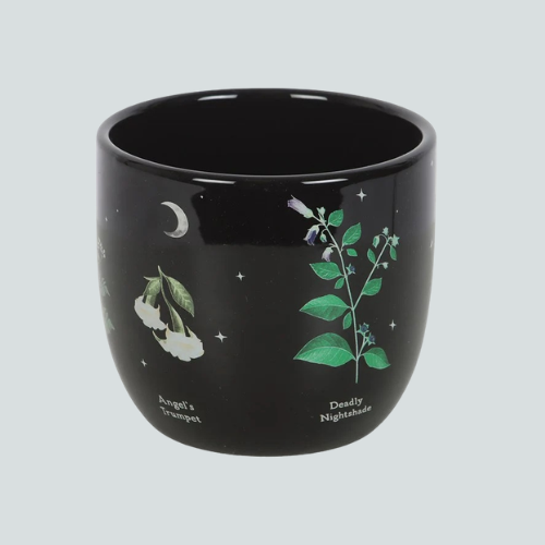 POISONOUS PLANTS PLANT POT