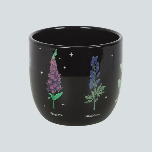 POISONOUS PLANTS PLANT POT