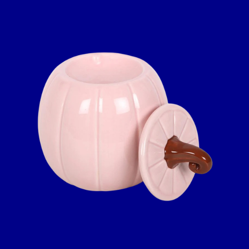 PINK PUMPKIN OIL BURNER