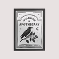 RAVEN APOTHECARY MIRRORED WALL ART
