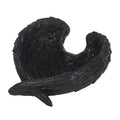 RAVEN WINGS TRINKET DISH