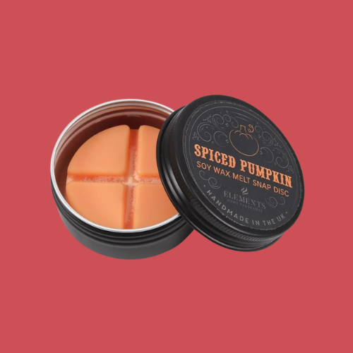 SPICED PUMPKIN SOY WAX MELTS