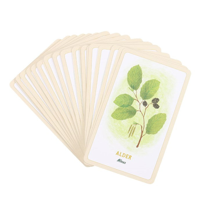 FOREST MAGIC ORACLE CARDS