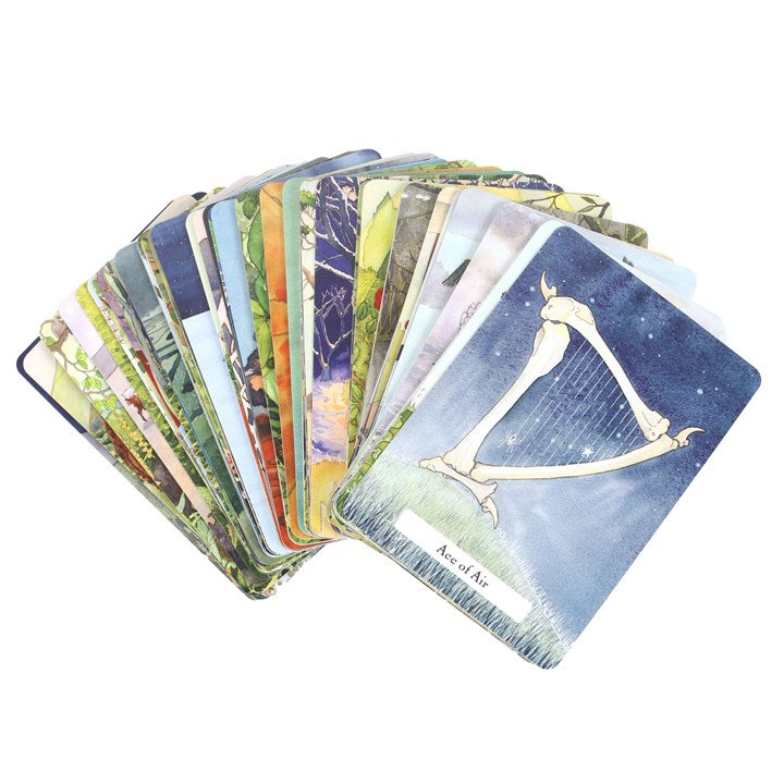 WITCHES' WISDOM TAROT DECK