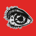 THE WATCHER PATCH