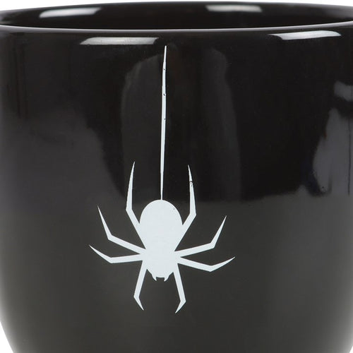 BLACK SPIDER TEACUP