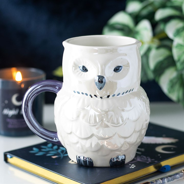 IRIDESCENT OWL MUG