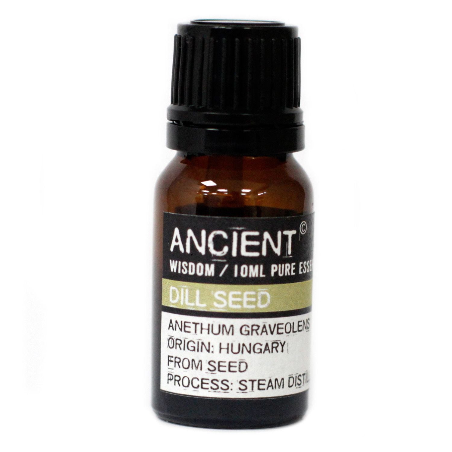 DILL SEED ESSENTIAL OIL