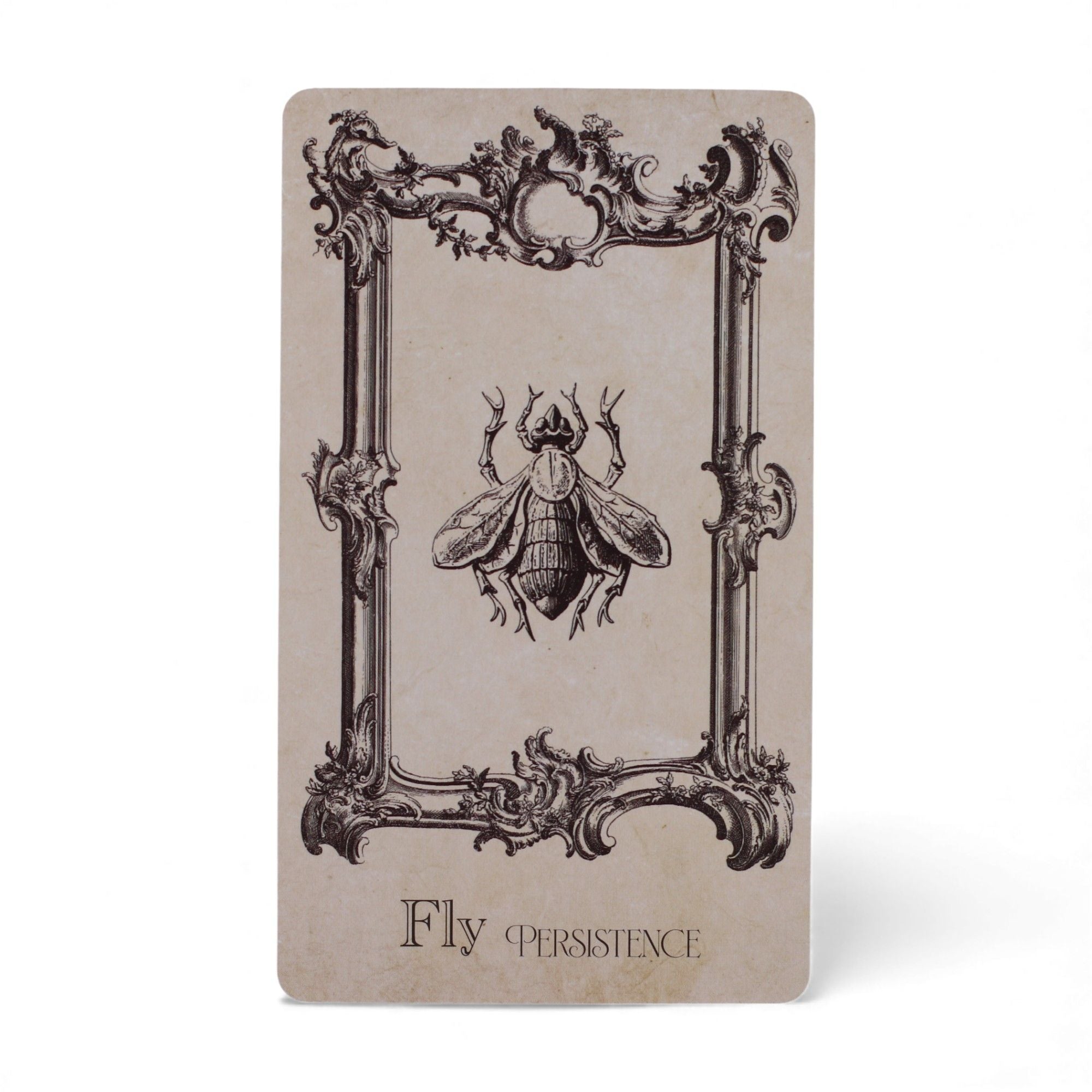 THE SPELLBOOK ORACLE CARDS