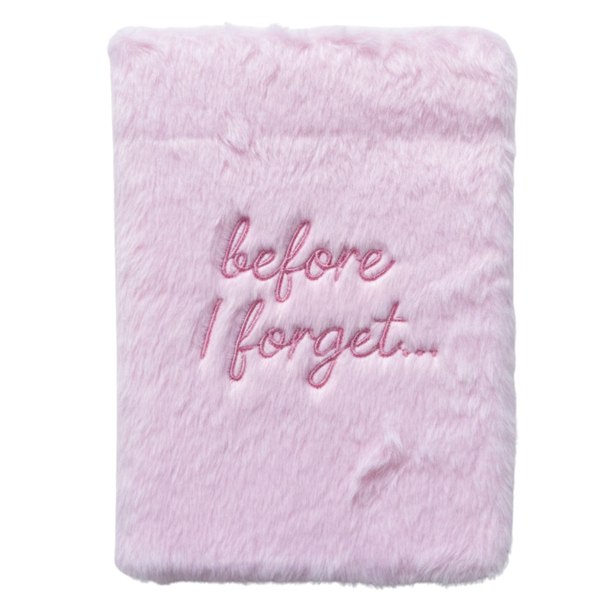 BEFORE I FORGET JOURNAL