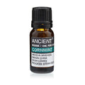 CORNMINT ESSENTIAL OIL