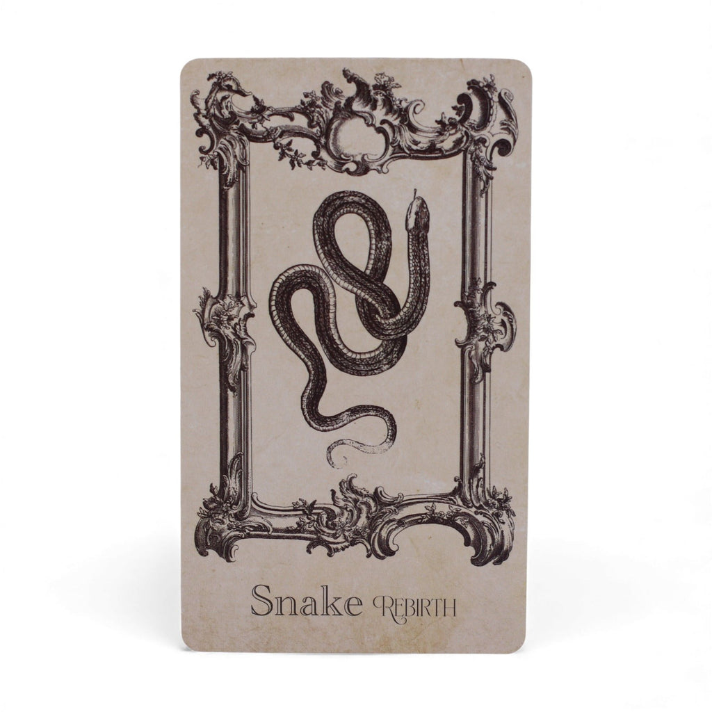 THE SPELLBOOK ORACLE CARDS