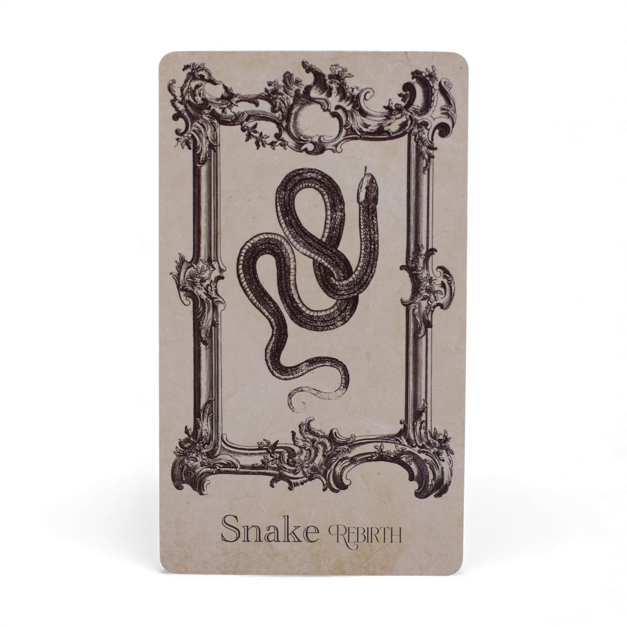 THE SPELLBOOK ORACLE CARDS