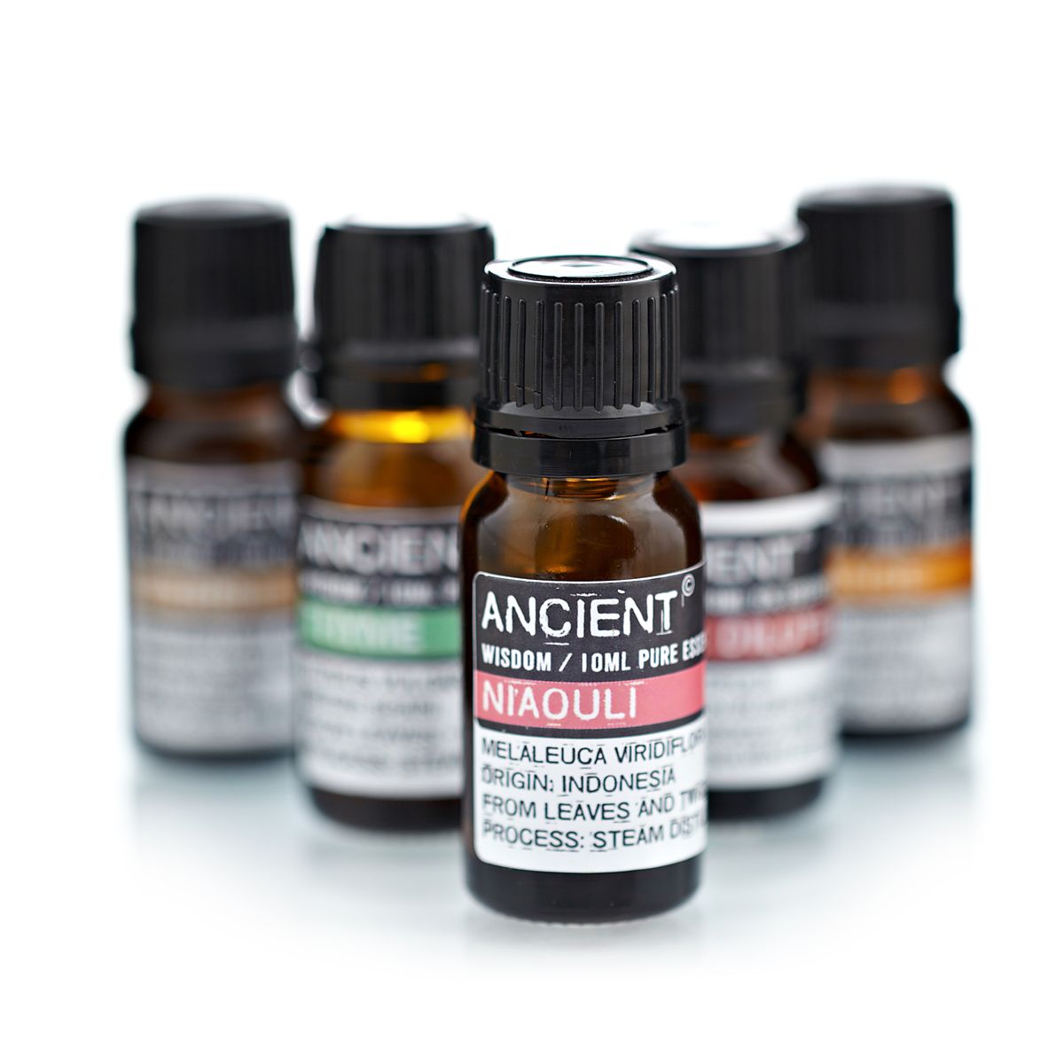 NIAOULI ESSENTIAL OIL