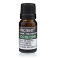SCOTS PINE ESSENTIAL OIL