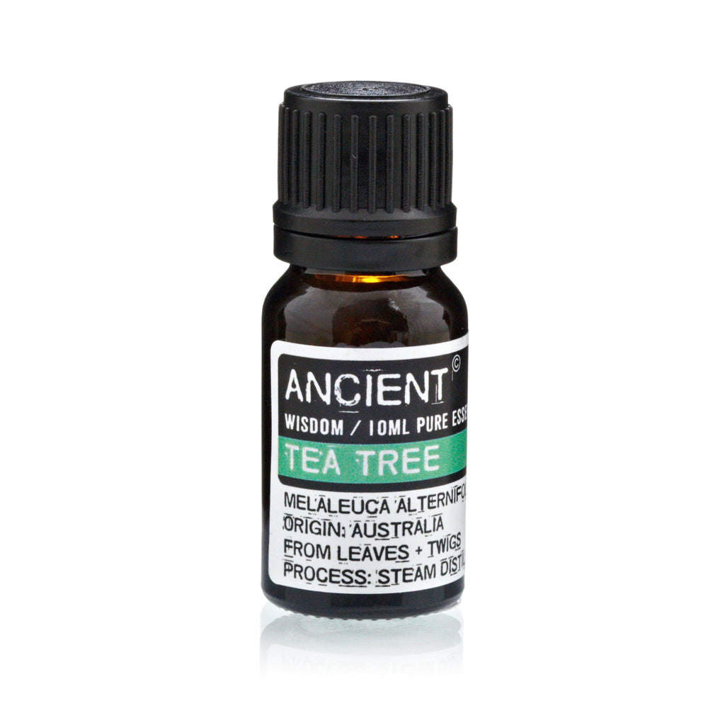 LAVENDER + TEA TREE + ROSEMARY ESSENTIAL OIL GIFT SET