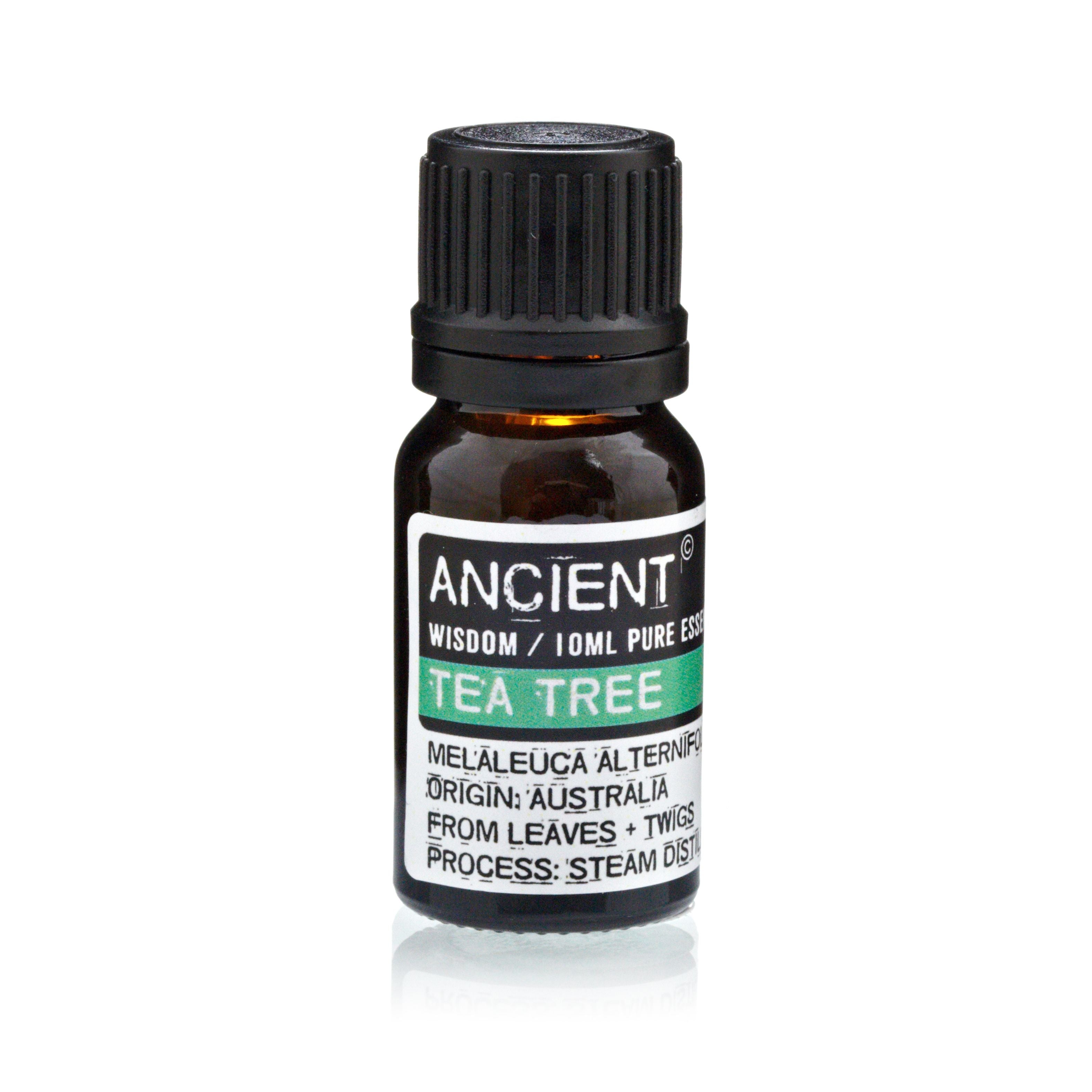 LAVENDER + TEA TREE + ROSEMARY ESSENTIAL OIL GIFT SET