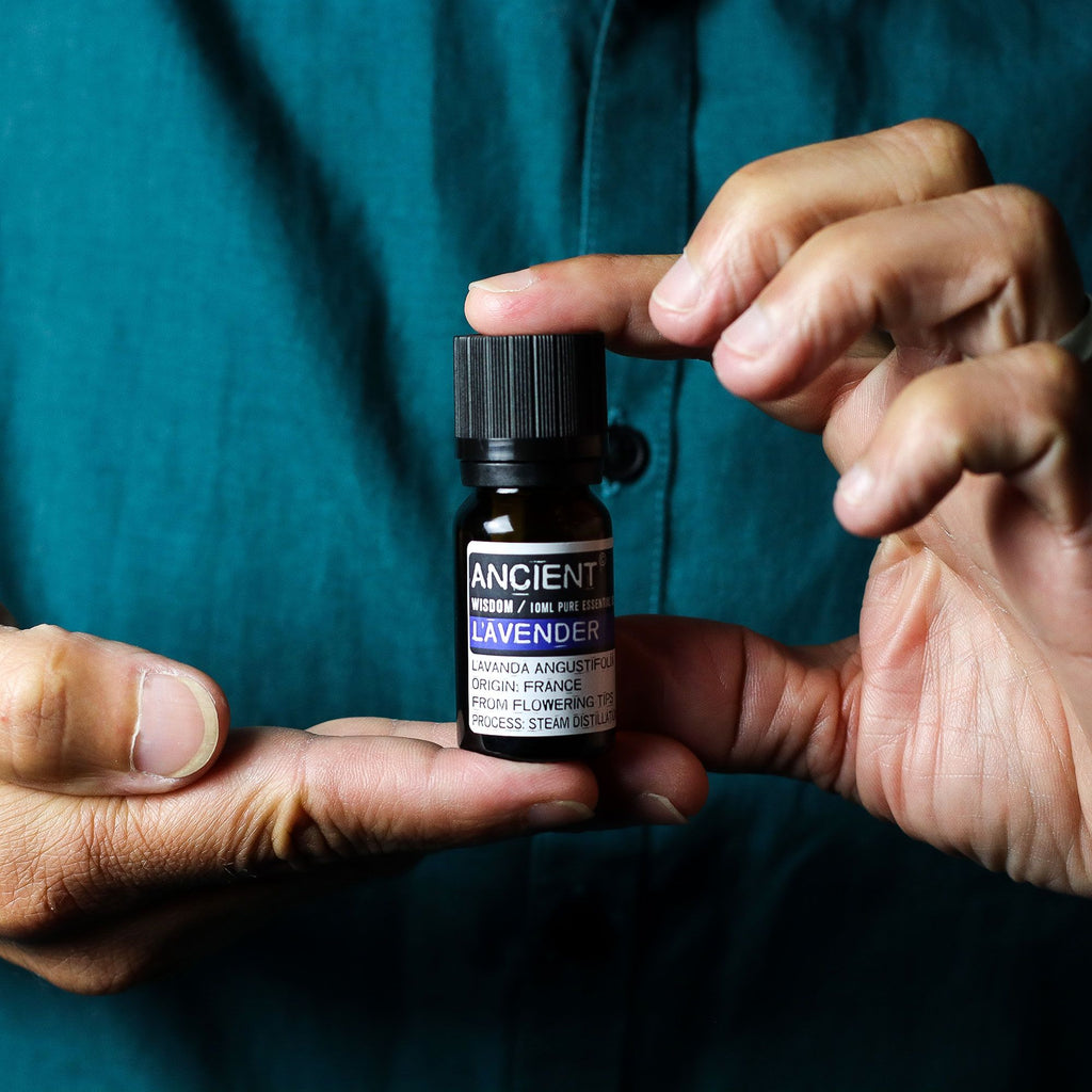 LAVENDER + TEA TREE + ROSEMARY ESSENTIAL OIL GIFT SET