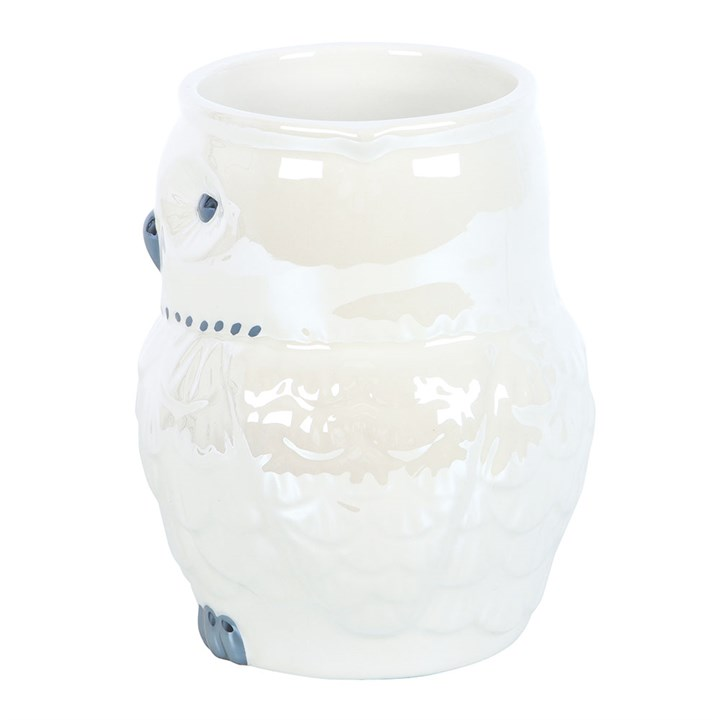 IRIDESCENT OWL MUG